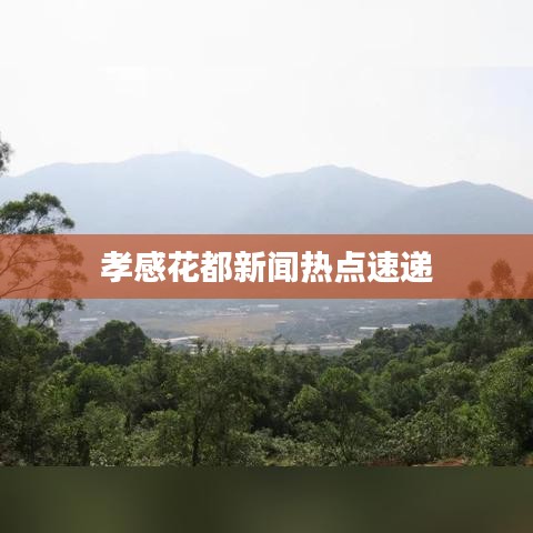 孝感花都新聞熱點速遞