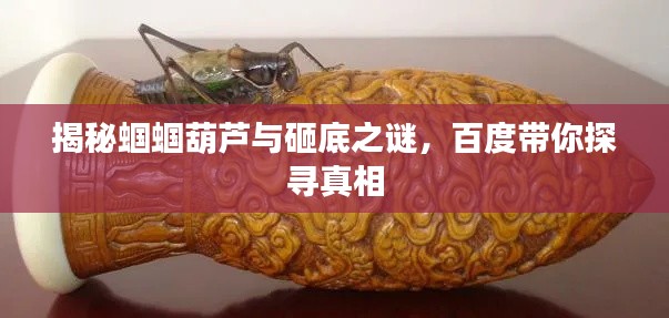 揭秘蟈蟈葫蘆與砸底之謎，百度帶你探尋真相