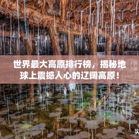 世界最大高原排行榜，揭秘地球上震撼人心的遼闊高原！