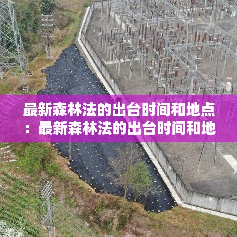 最新森林法的出臺時間和地點：最新森林法的出臺時間和地點是什么 