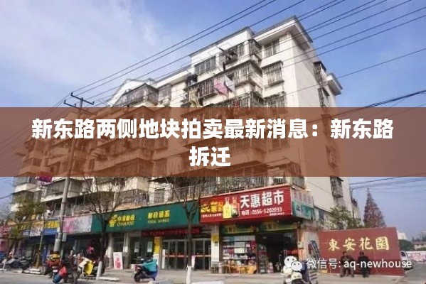 新東路兩側(cè)地塊拍賣最新消息：新東路拆遷 