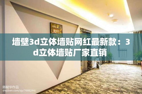 墻壁3d立體墻貼網(wǎng)紅最新款：3d立體墻貼廠家直銷 