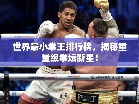 射飛逐走 第3頁