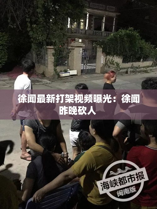 徐聞最新打架視頻曝光：徐聞昨晚砍人 