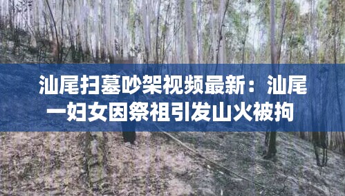 汕尾掃墓吵架視頻最新：汕尾一婦女因祭祖引發(fā)山火被拘 
