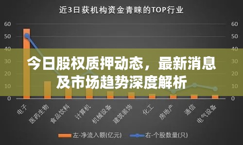 今日股權(quán)質(zhì)押動(dòng)態(tài)，最新消息及市場(chǎng)趨勢(shì)深度解析