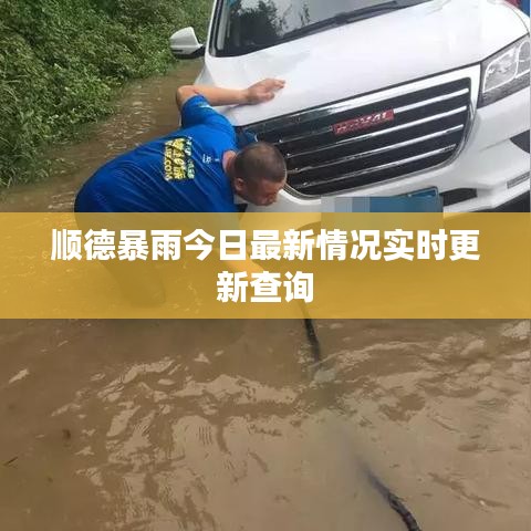 順德暴雨今日最新情況實時更新查詢