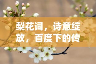 梨花詞，詩意綻放，百度下的傳世佳作
