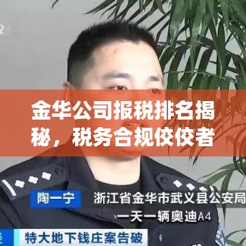 金華公司報稅排名揭秘，稅務(wù)合規(guī)佼佼者榜單重磅出爐！