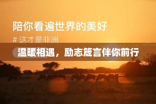 精雕細刻 第3頁