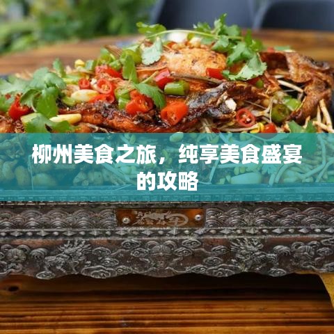 柳州美食之旅，純享美食盛宴的攻略