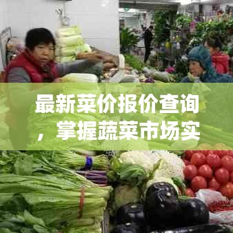 最新菜價(jià)報(bào)價(jià)查詢，掌握蔬菜市場(chǎng)實(shí)時(shí)動(dòng)態(tài)，今日菜價(jià)一覽無(wú)余！