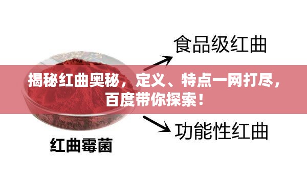 揭秘紅曲奧秘，定義、特點(diǎn)一網(wǎng)打盡，百度帶你探索！