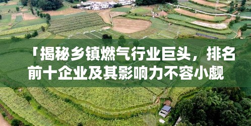 「揭秘鄉(xiāng)鎮(zhèn)燃?xì)庑袠I(yè)巨頭，排名前十企業(yè)及其影響力不容小覷」