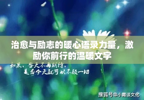 治愈與勵(lì)志的暖心語錄力量，激勵(lì)你前行的溫暖文字