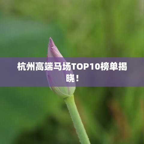 杭州高端馬場TOP10榜單揭曉！