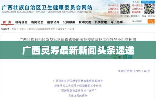 廣西靈壽最新新聞?lì)^條速遞