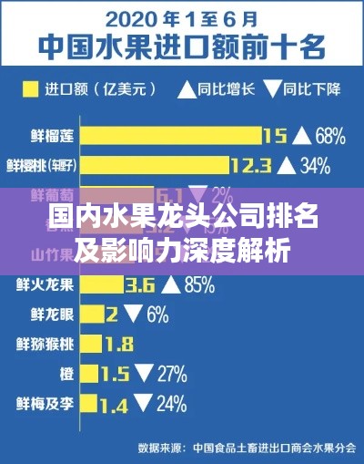 國(guó)內(nèi)水果龍頭公司排名及影響力深度解析