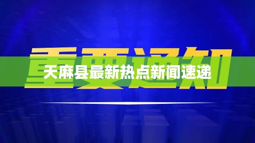天麻縣最新熱點(diǎn)新聞速遞