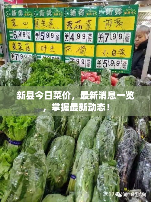 新縣今日菜價，最新消息一覽，掌握最新動態(tài)！