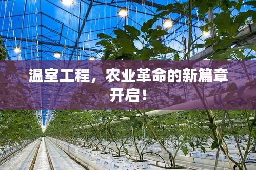 溫室工程，農(nóng)業(yè)革命的新篇章開(kāi)啟！