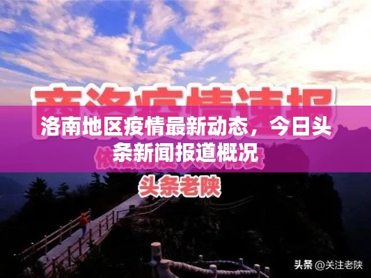 洛南地區(qū)疫情最新動態(tài)，今日頭條新聞報道概況