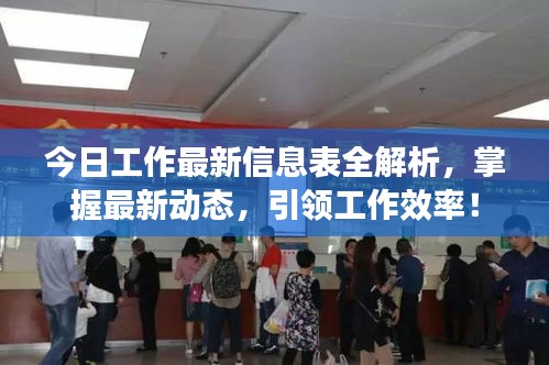 今日工作最新信息表全解析，掌握最新動(dòng)態(tài)，引領(lǐng)工作效率！