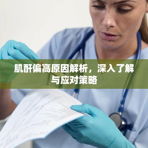 肌酐偏高原因解析，深入了解與應(yīng)對策略