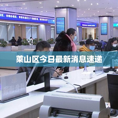 萊山區(qū)今日最新消息速遞