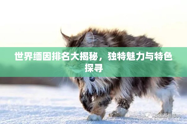 林下風(fēng)范 第3頁(yè)
