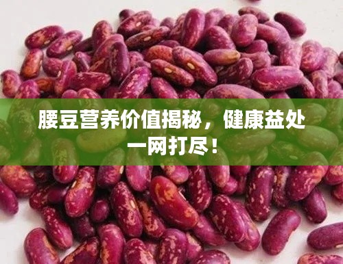 腰豆營養(yǎng)價值揭秘，健康益處一網(wǎng)打盡！