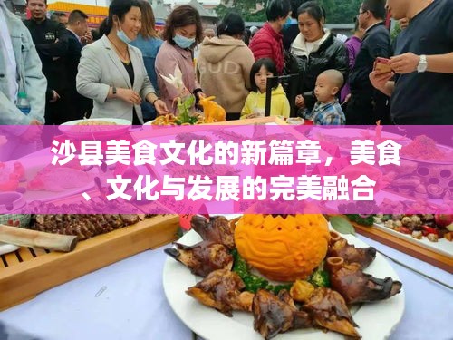 沙縣美食文化的新篇章，美食、文化與發(fā)展的完美融合