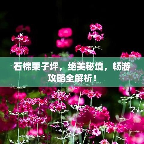 石棉栗子坪，絕美秘境，暢游攻略全解析！