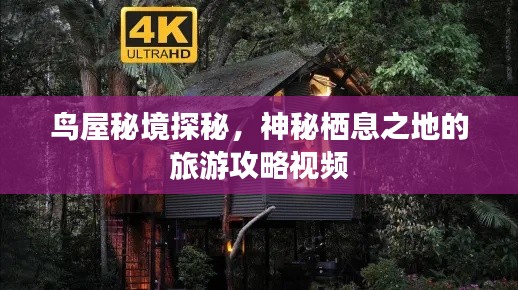 鳥屋秘境探秘，神秘棲息之地的旅游攻略視頻