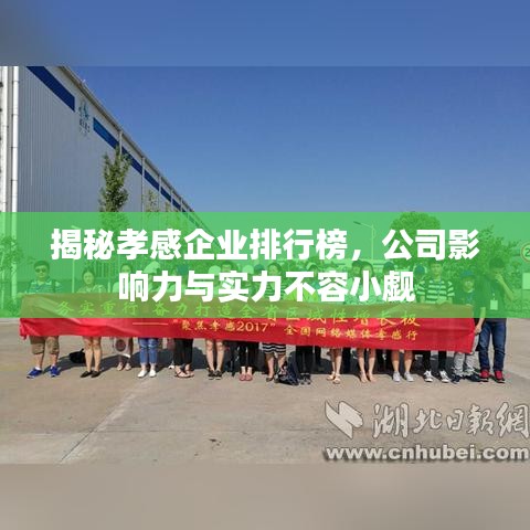 揭秘孝感企業(yè)排行榜，公司影響力與實力不容小覷