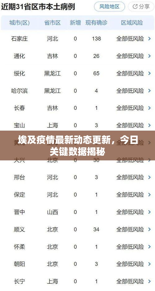 埃及疫情最新動(dòng)態(tài)更新，今日關(guān)鍵數(shù)據(jù)揭秘
