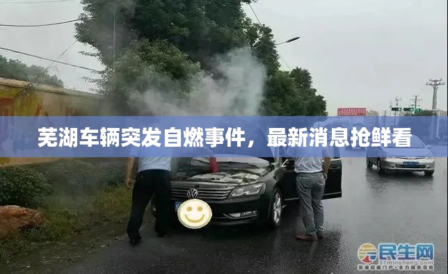 蕪湖車輛突發(fā)自燃事件，最新消息搶鮮看