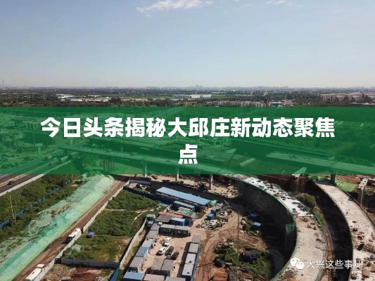 今日頭條揭秘大邱莊新動(dòng)態(tài)聚焦點(diǎn)