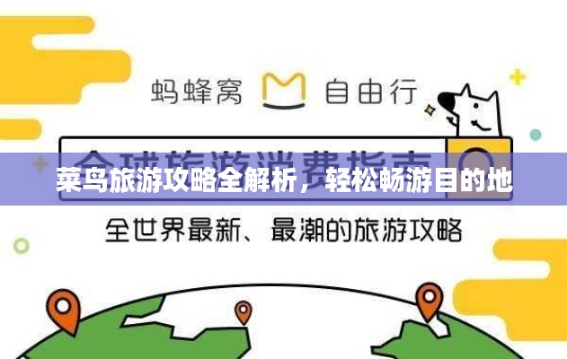 菜鳥旅游攻略全解析，輕松暢游目的地