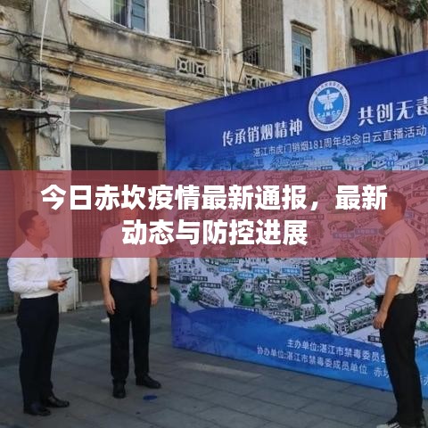 今日赤坎疫情最新通報，最新動態(tài)與防控進展