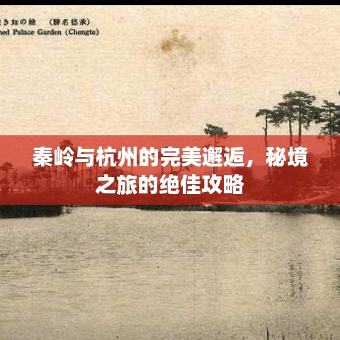 筆走如飛 第3頁