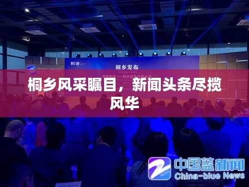 桐鄉(xiāng)風(fēng)采矚目，新聞?lì)^條盡攬風(fēng)華