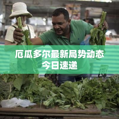 厄瓜多爾最新局勢動態(tài)今日速遞