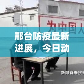 邢臺(tái)防疫最新進(jìn)展，今日動(dòng)態(tài)更新防疫成果