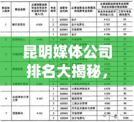 昆明媒體公司排名大揭秘，權(quán)威榜單，不容錯過！