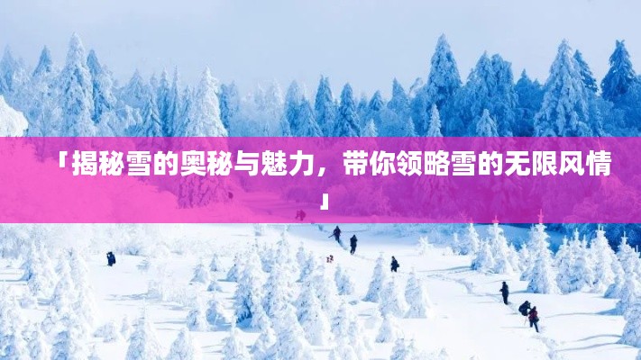 「揭秘雪的奧秘與魅力，帶你領(lǐng)略雪的無(wú)限風(fēng)情」