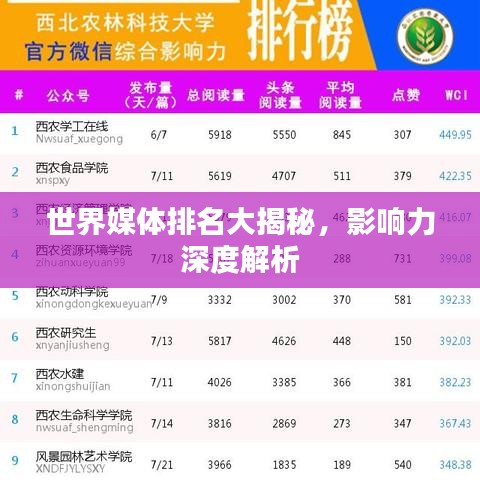 世界媒體排名大揭秘，影響力深度解析