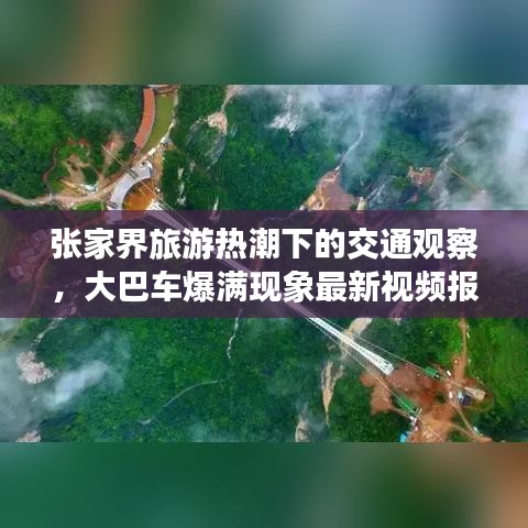 張家界旅游熱潮下的交通觀察，大巴車爆滿現(xiàn)象最新視頻報道