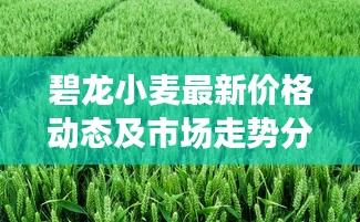 碧龍小麥最新價格動態(tài)及市場走勢分析與預(yù)測