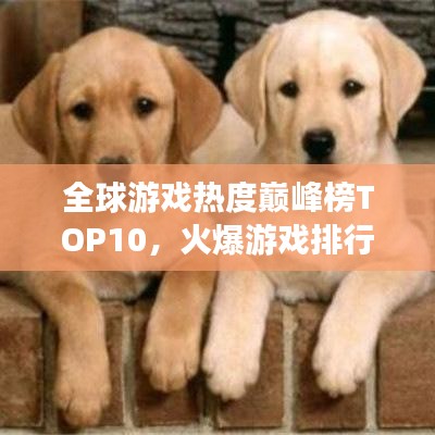全球游戲熱度巔峰榜TOP10，火爆游戲排行榜